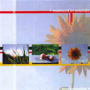 Monomental - Moment In Sounds album flac