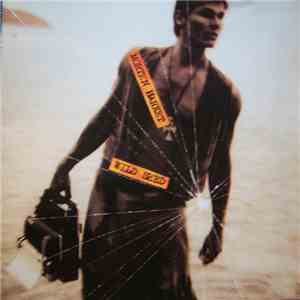 Morten Harket - Wild Seed album flac