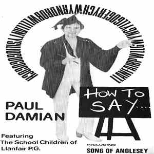 Paul Damian Featuring The Schoolchildren Of Llanfair P. G. - How To Say Llanfairpwllgwyngyllgogerychwyrndrobwllllantysiliogogogoch album flac