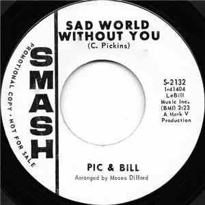 Pic & Bill - Just A Tear album flac