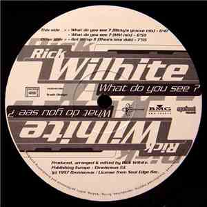 Rick Wilhite - What Do You See? album flac