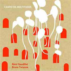 Rémi Gaudillat / Bruno Tocanne - Canto De Multitudes album flac