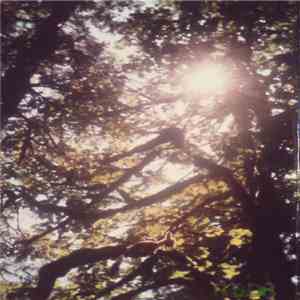 Robedoor - Pained Seer album flac