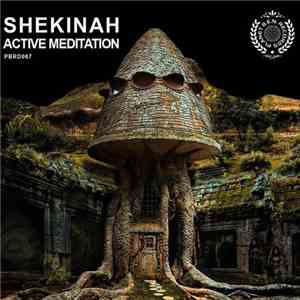 Shekinah - Active Meditation album flac