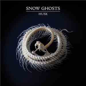 Snow Ghosts - Husk album flac