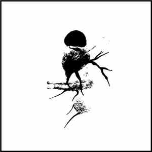 Testing Vault - TSALAL album flac