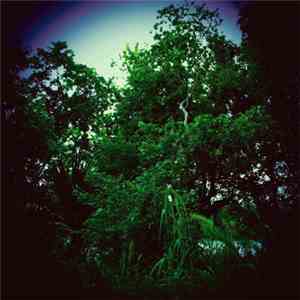 The Roller - Wasted Heritage album flac