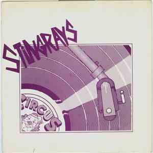 The Stingrays - Never Do / Satellites album flac