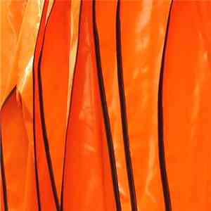 Tim Albro + Jesse Kudler + Bonnie Jones + Howard Stelzer - The 'D' In Date And The 'G' In Gate album flac