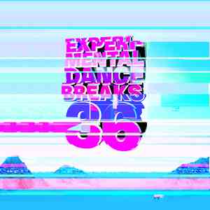 Various - Experimental Dance Breaks 36 album flac