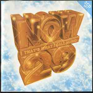 Various - Now That's What I Call Music 29 album flac