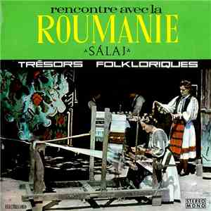 Various - Sălaj album flac