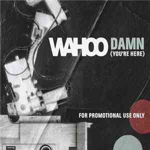 Wahoo - Damn (You're Here) album flac