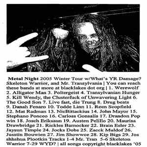 What's YR Damage? / Skeleton Warrior / Mr. Transylvania - Metal Night album flac