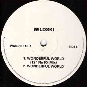 Wildski - Wonderful World album flac