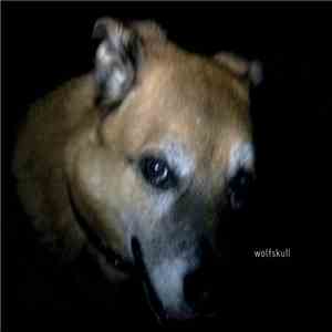 Wolfskull - Wolfskull album flac
