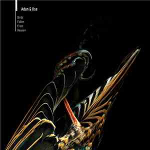 Adan & Ilse - Birds Fallen From Heaven album flac