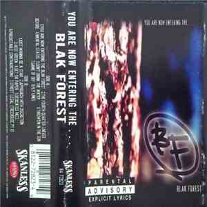 Blak Forest - You Are Now Entering The... Blak Forest album flac