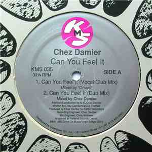 Chez Damier - Can You Feel It album flac