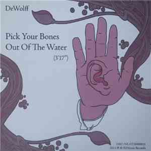 Dewolff - Pick Your Bones Out Of The Water album flac