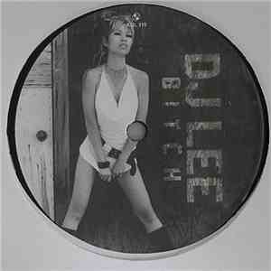DJ Lee - Bitch album flac