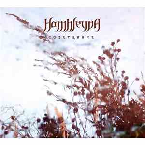Hamhleypa - Созерцание album flac