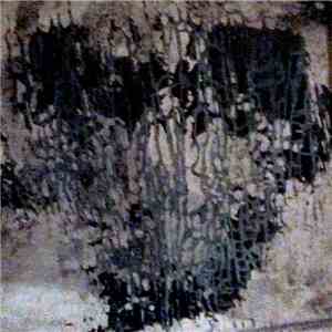_MAIDEN - Rotted album flac
