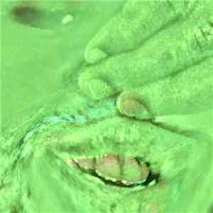 N-Prolenta - Driks Ultra Three album flac