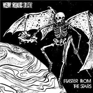 Owl - Feaster From The Stars / Stone Loner album flac