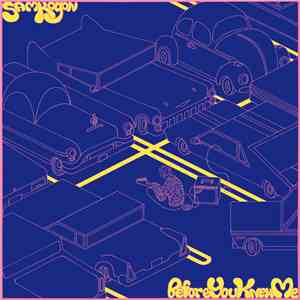 Sam Kogon - Before You Knew Me album flac
