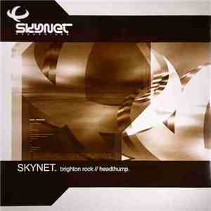 Skynet - Brighton Rock / Headthump album flac
