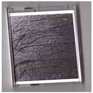 Sloth , Ann Key - Sloth  / Ann Key Split Tape album flac