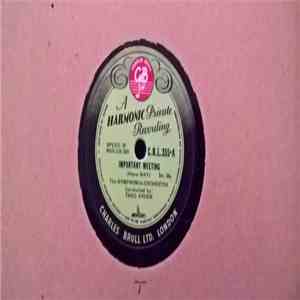 Symphonia Orchestra - Important Meeting / Patience Please album flac