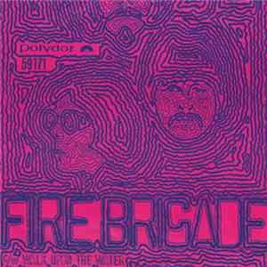 The Move - Fire Brigade / Walk Upon The Water album flac