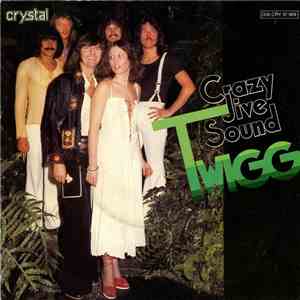 Twigg - Crazy Jive Sound album flac