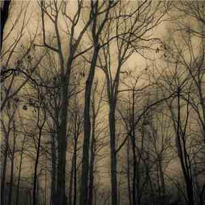 Uhakkami - Swamp Brothers album flac