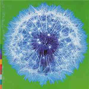 Various - A Week Or Two In The Real World album flac