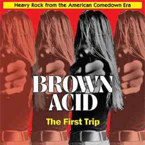 Various - Brown Acid: The First Trip album flac