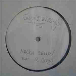 Various - Jungle Massive 4 V's The Hardsteppers DJ Sampler - Vol 1 album flac
