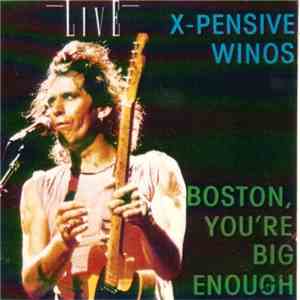 X-Pensive Winos - Boston You're Big Enough album flac
