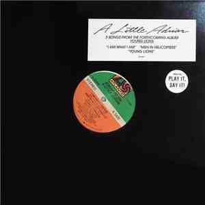 Adrian Belew - A Little Adrian album flac