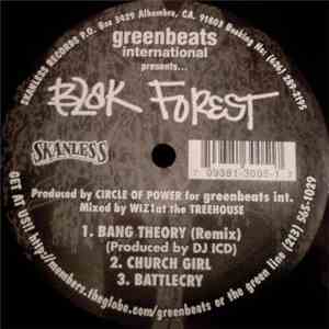 Blak Forest - Bang Theory / Church Girl / Battlecry album flac