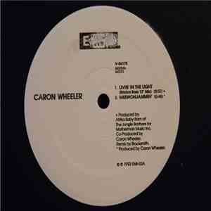 Caron Wheeler - Livin' In The Light album flac