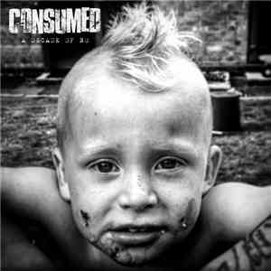 Consumed - A Decade Of No album flac