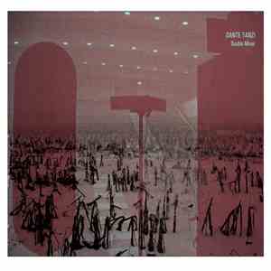 Dante Tanzi - Double Miroir album flac