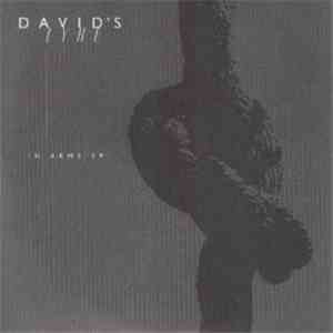David's Lyre - In Arms EP album flac