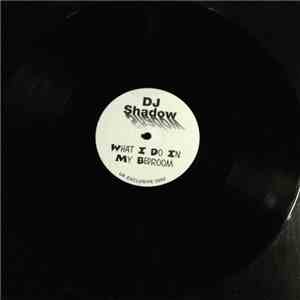 DJ Shadow - What I Do In My Bedroom album flac