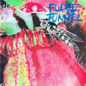 Fudge Tunnel - Creep Diets album flac