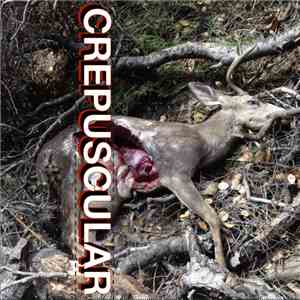 Jason Christopher Watkins - Crepuscular album flac