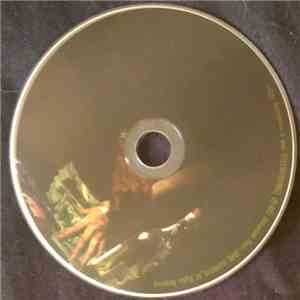 Lodger - Honeymoon Is Over album flac